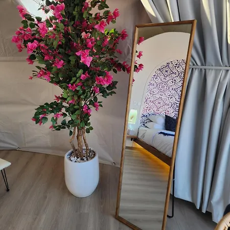 Bubbles Domes Private Cmp Hotel Al Wasil Room photo
